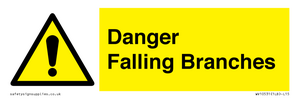Danger Falling Branches